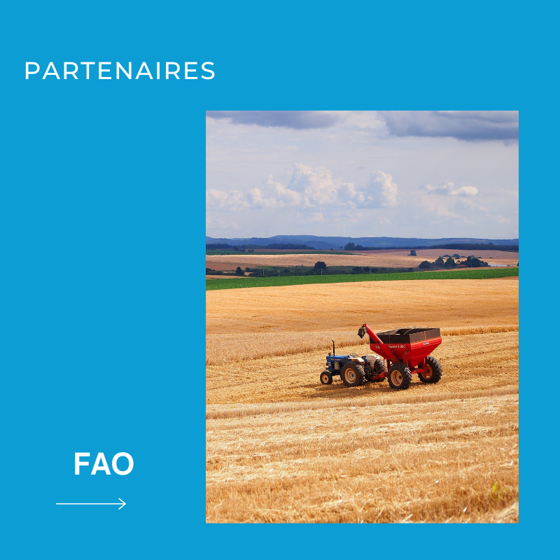 clients YEMEC INTERNATIONAL Organisation des Nations Unies pour l’alimentation et l’agriculture (FAO)